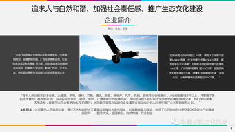 3小时创下7.8亿奇迹 奥伦达部落，从刘向阳的梦想走向现实